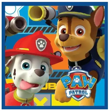 Uterák 30x30 PAW PATROL chlapci - magický