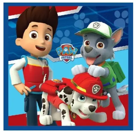 Uterák 30x30 PAW PATROL boy - magický