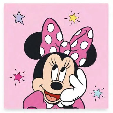 Uterák 30x30 MINNIE hviezdičky