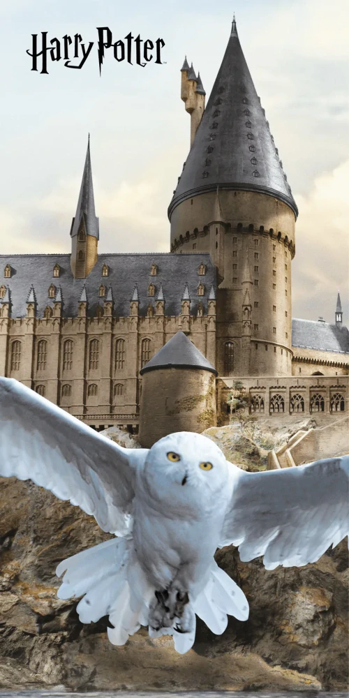 Osuška 70x140 HARRY POTTER let