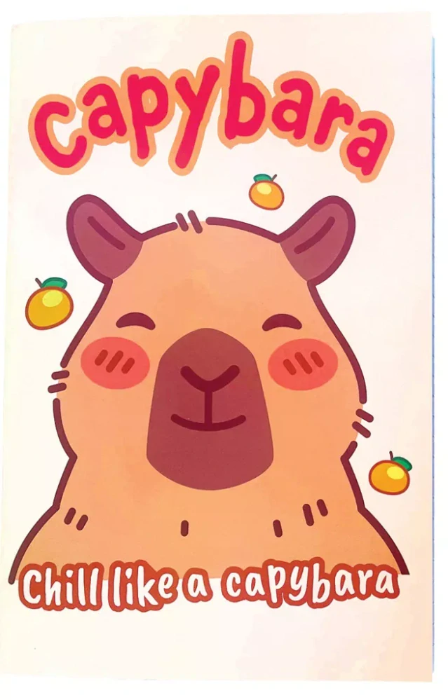 Linajkový zošit B5 KAPYBARA chill