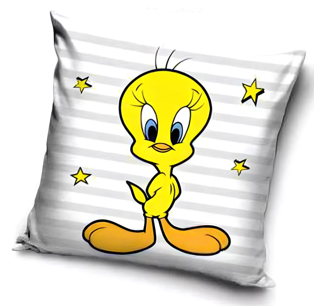 Vankúšik 40x40 TWEETY