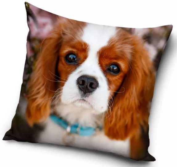 Obliečka na vankúšik 40x40 CAVALIER pohľad