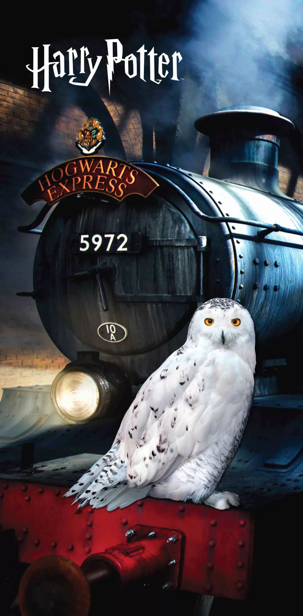 Osuška 70x140 HARRY POTTER vlak