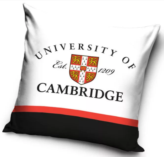 Obliečka na vankúšik 40x40 CAMBRIDGE