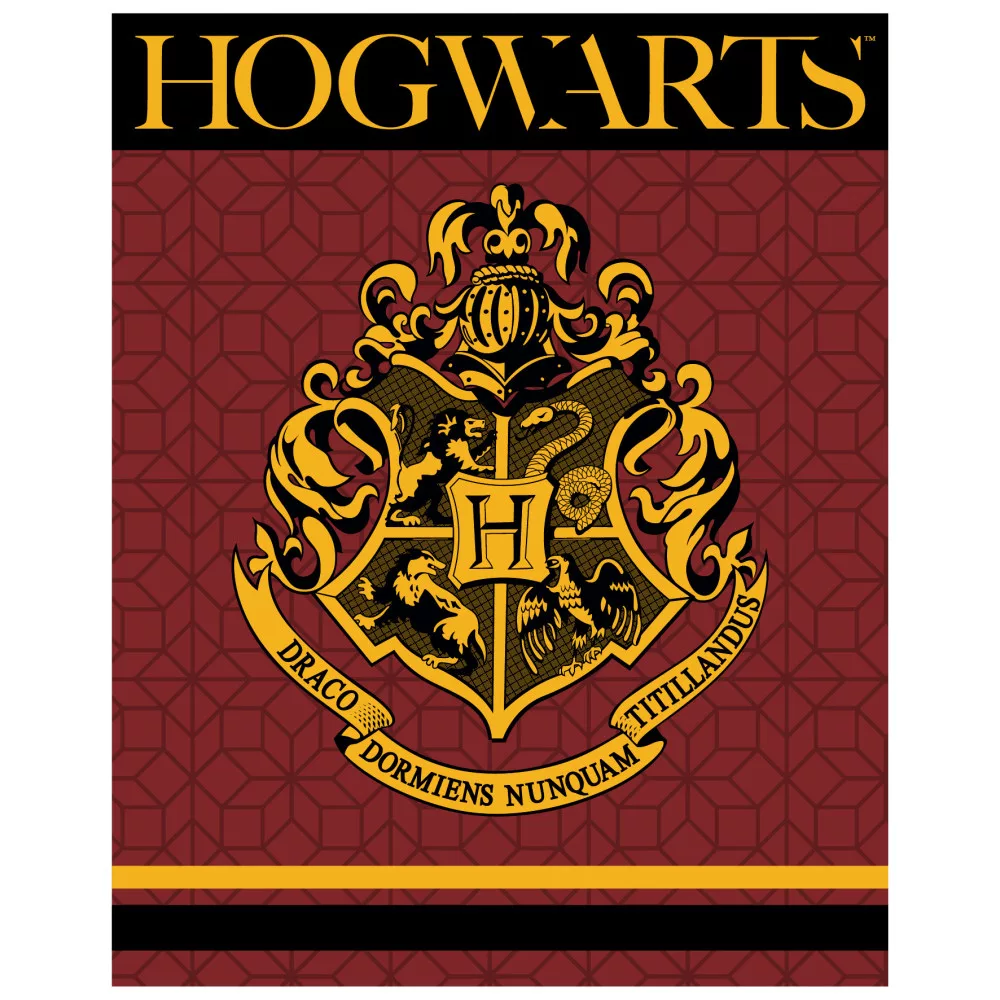 Deka 120x150 HARRY POTTER Hogwarts