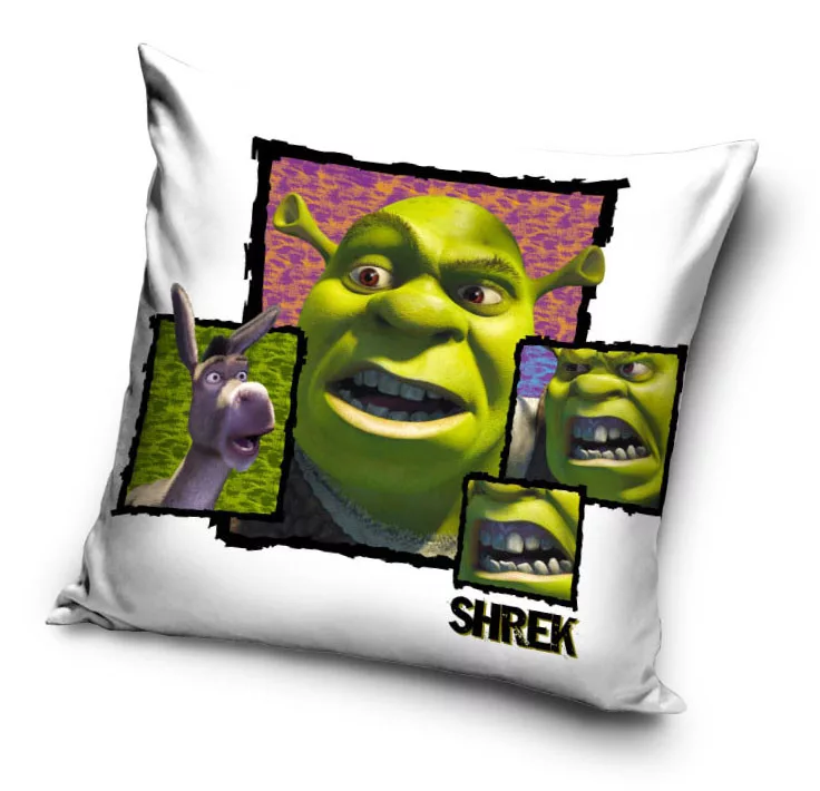 Obliečka na vankúšik 40x40 SHREK
