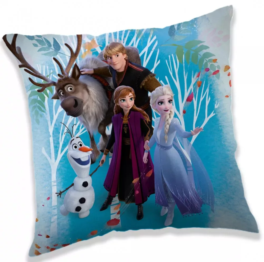 Obliečka na vankúšik 40x40 FROZEN family