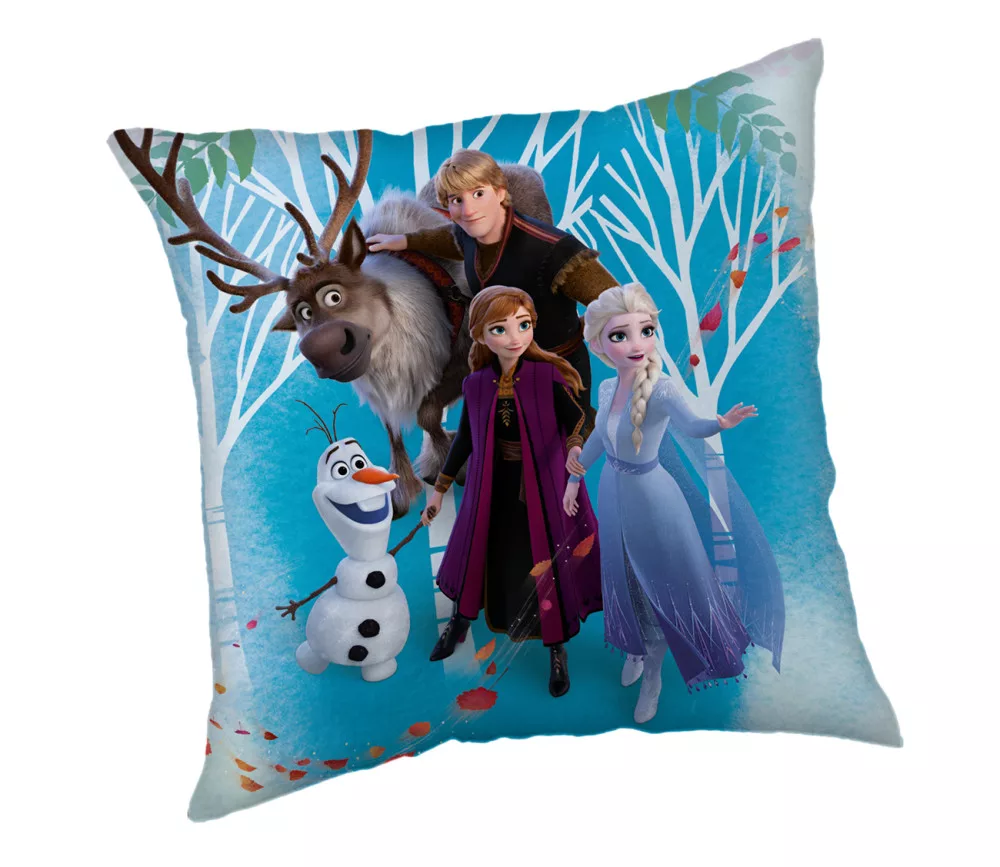 Vankúšik 40x40 FROZEN family