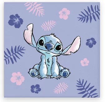 Uterák 30x30 LILO A STITCH