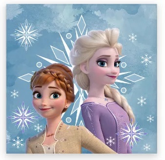 Uterák 30x30 FROZEN sestry