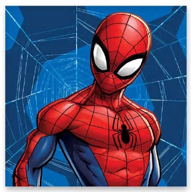 Uterák 30x30 SPIDERMAN pavučina