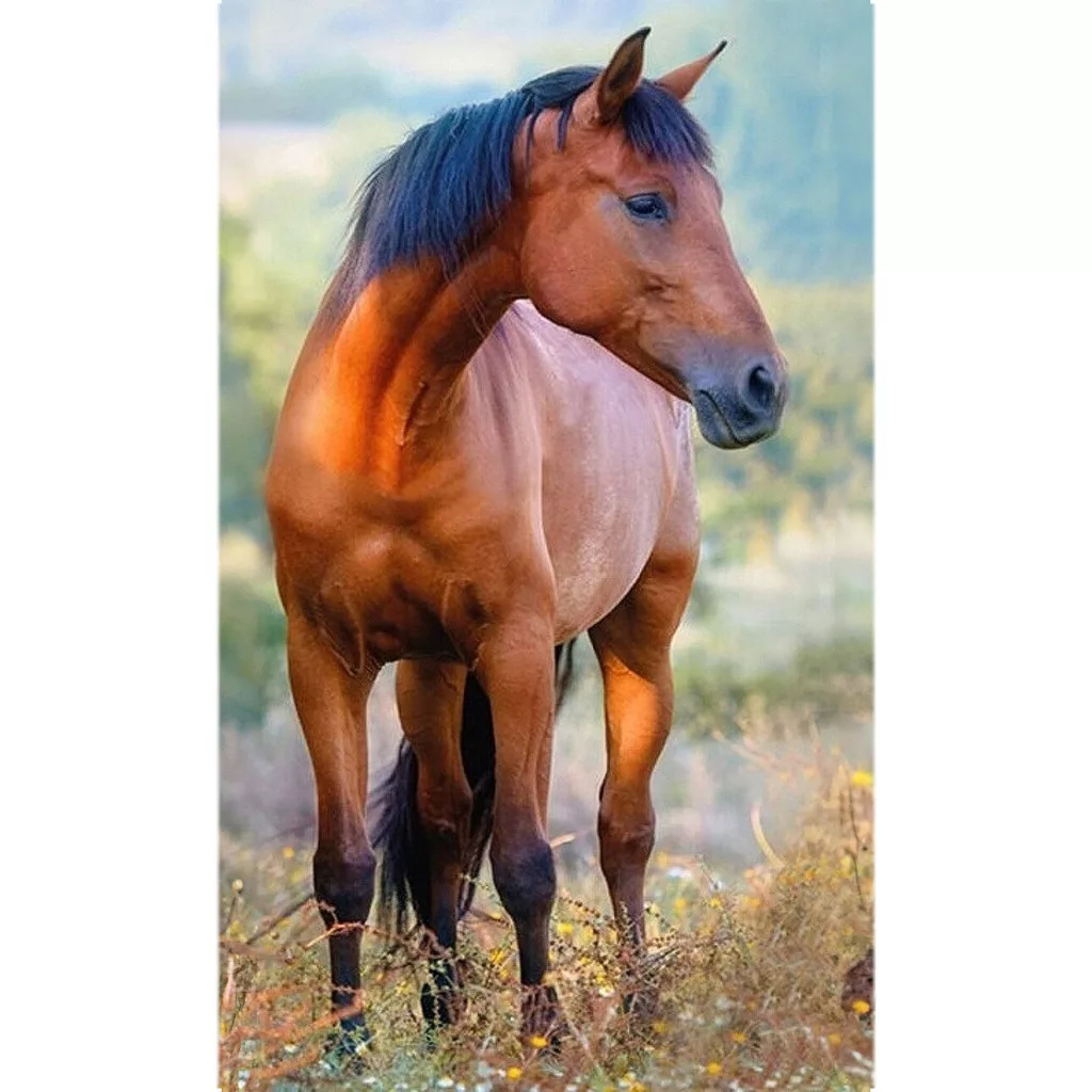 Uterák 30x50 KONÍK hnedý