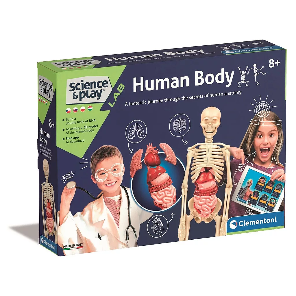 Model ľudského tela