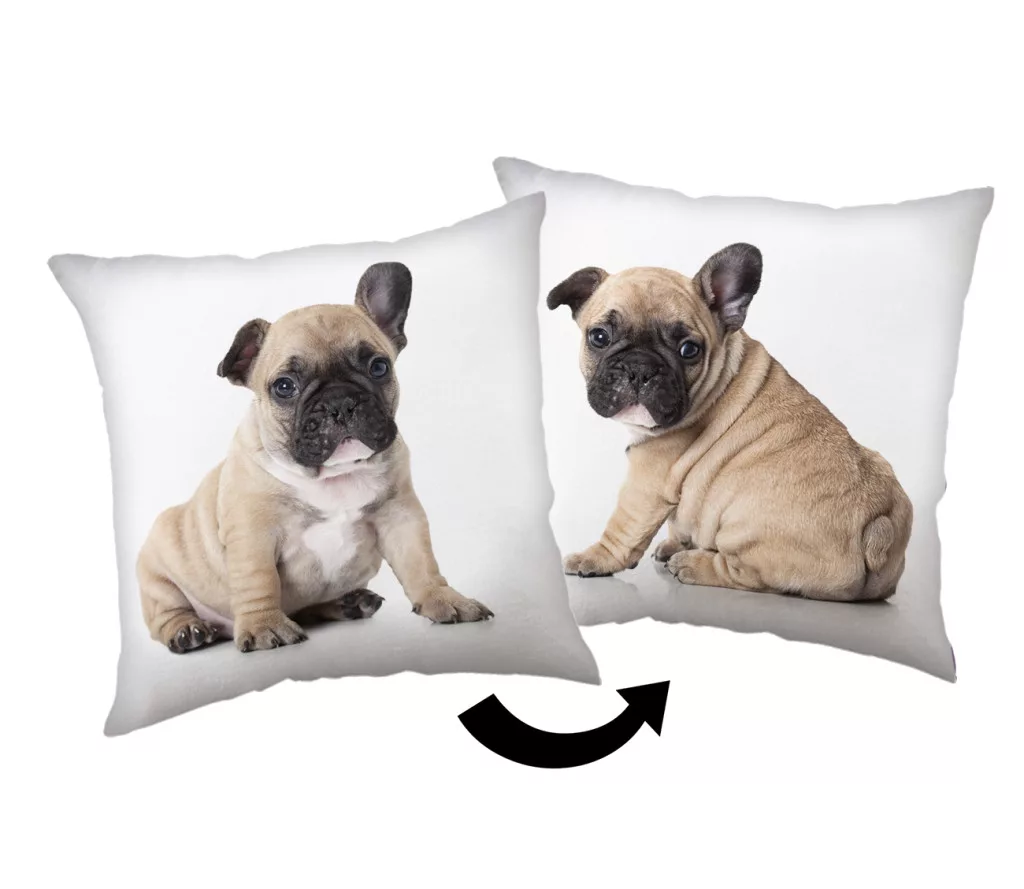 Vankúšik 40x40 BULLDOG