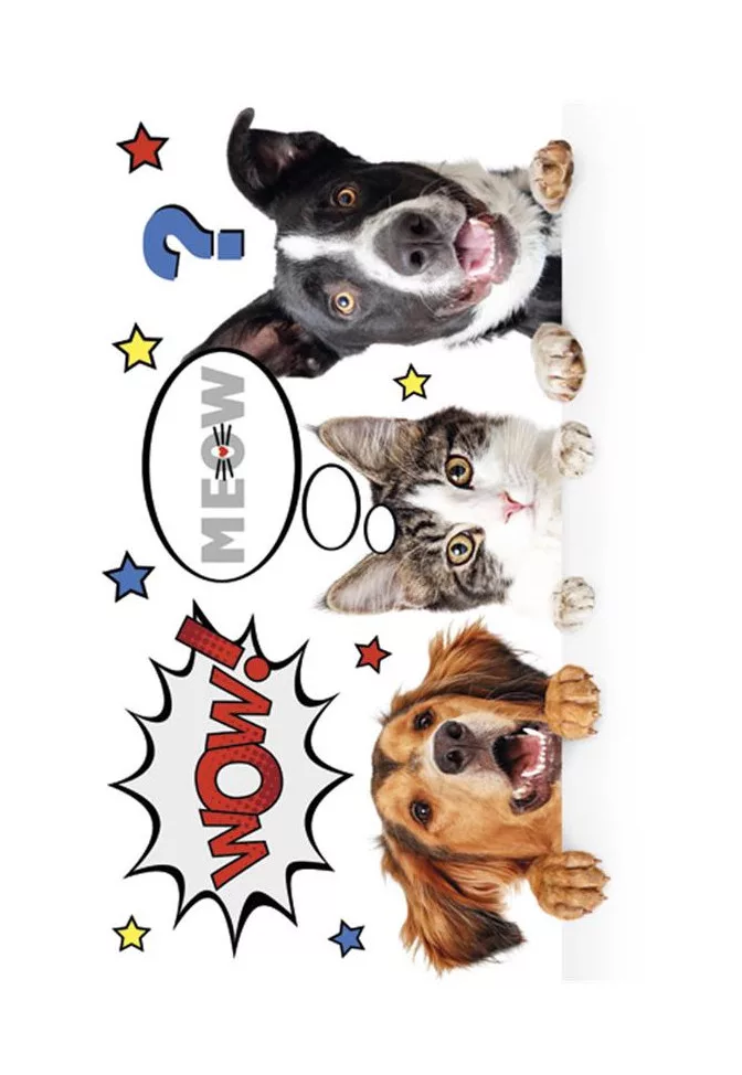Folder A4 PES friends
