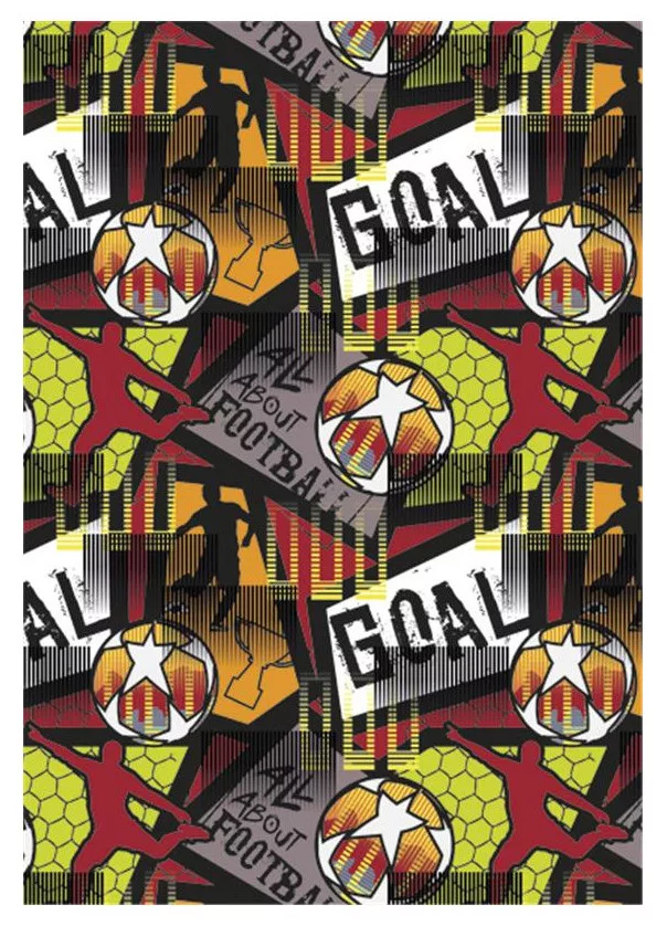 Folder A4 FUTBAL goal