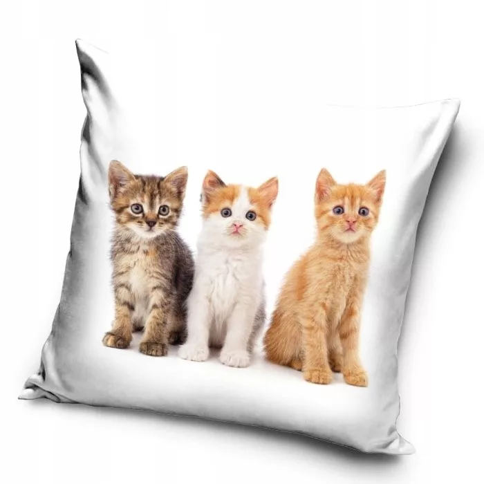 Obliečka na vankúšik 40x40 MAČKY trio color