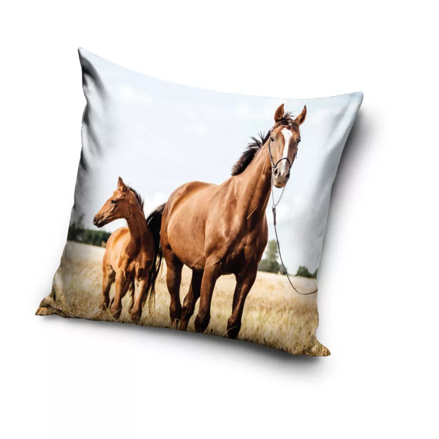Obliečka na vankúšik 40x40 KONÍKY spokojnosť