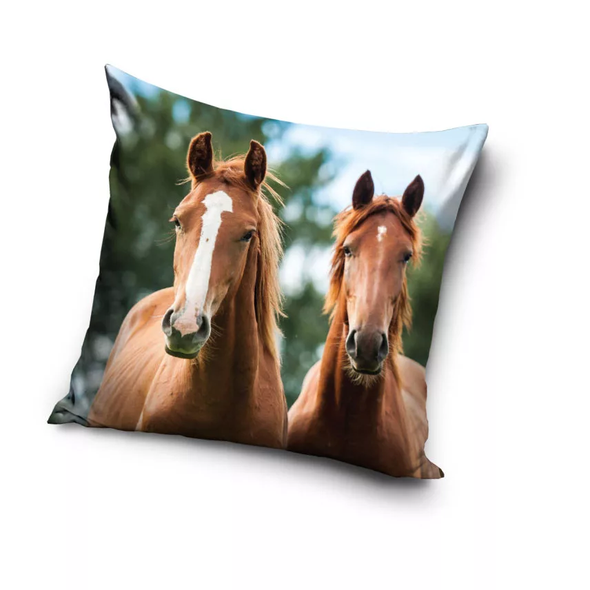 Obliečka na vankúšik 40x40 KONE harmony