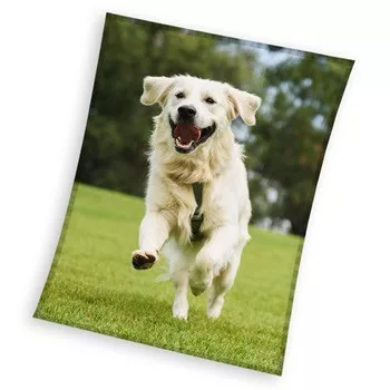 Prehoz - fleecová deka 150x200 RETRIEVER beh