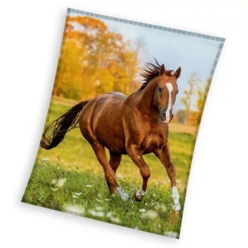 Prehoz - fleecová deka 150x200 KONÍK beh