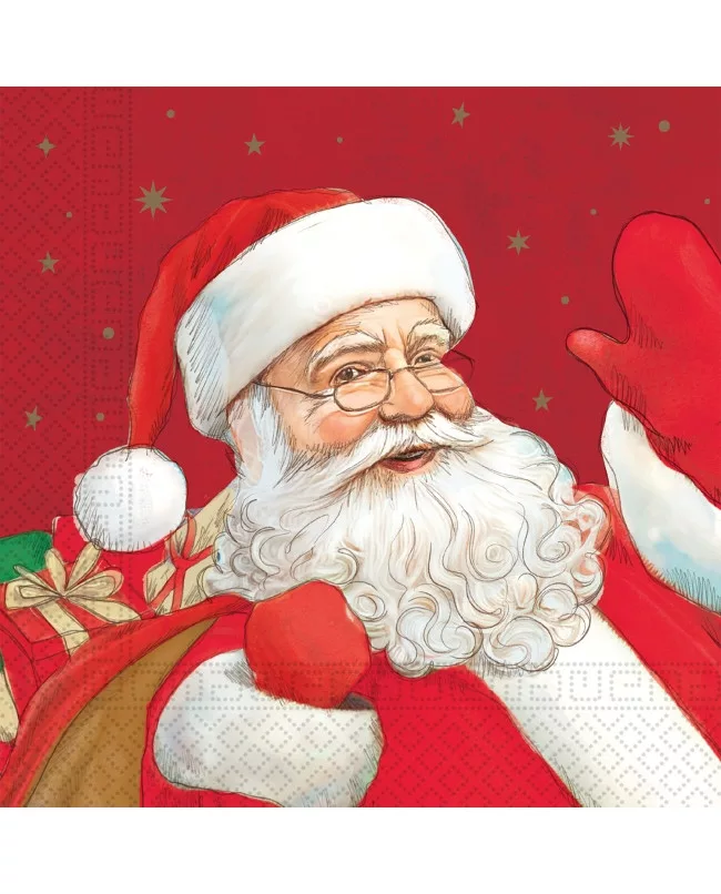 Servítky (20ks) SANTA pozdrav