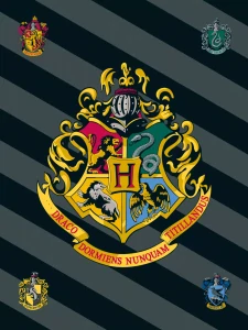 Deka 100x150 HARRY POTTER znak