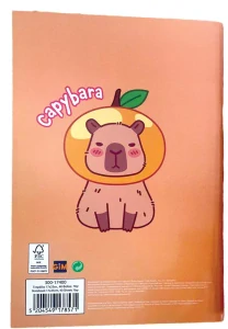 Linajkový zošit B5 KAPYBARA chill