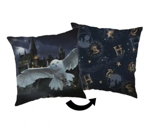Vankúšik 40x40 HARRY POTTER nočný let