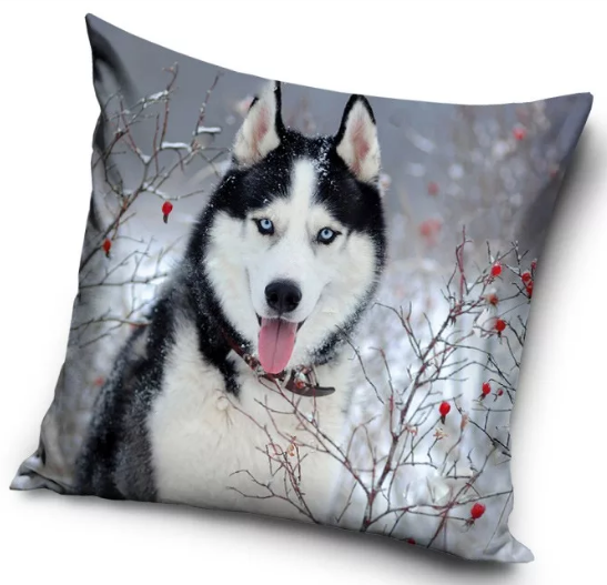 Obliečka na vankúšik 40x40 HUSKY