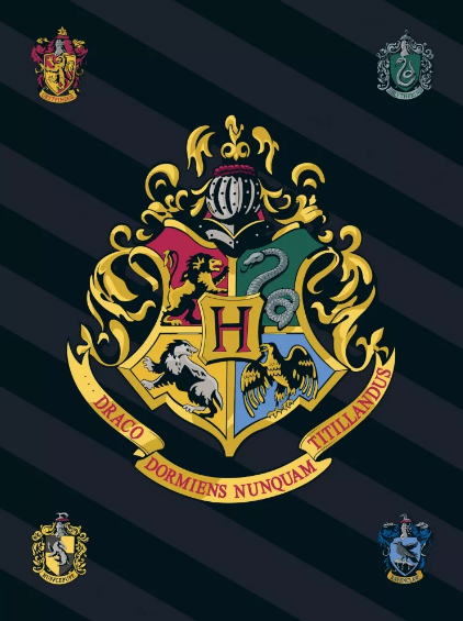 Deka 100x140 HARRY POTTER erb