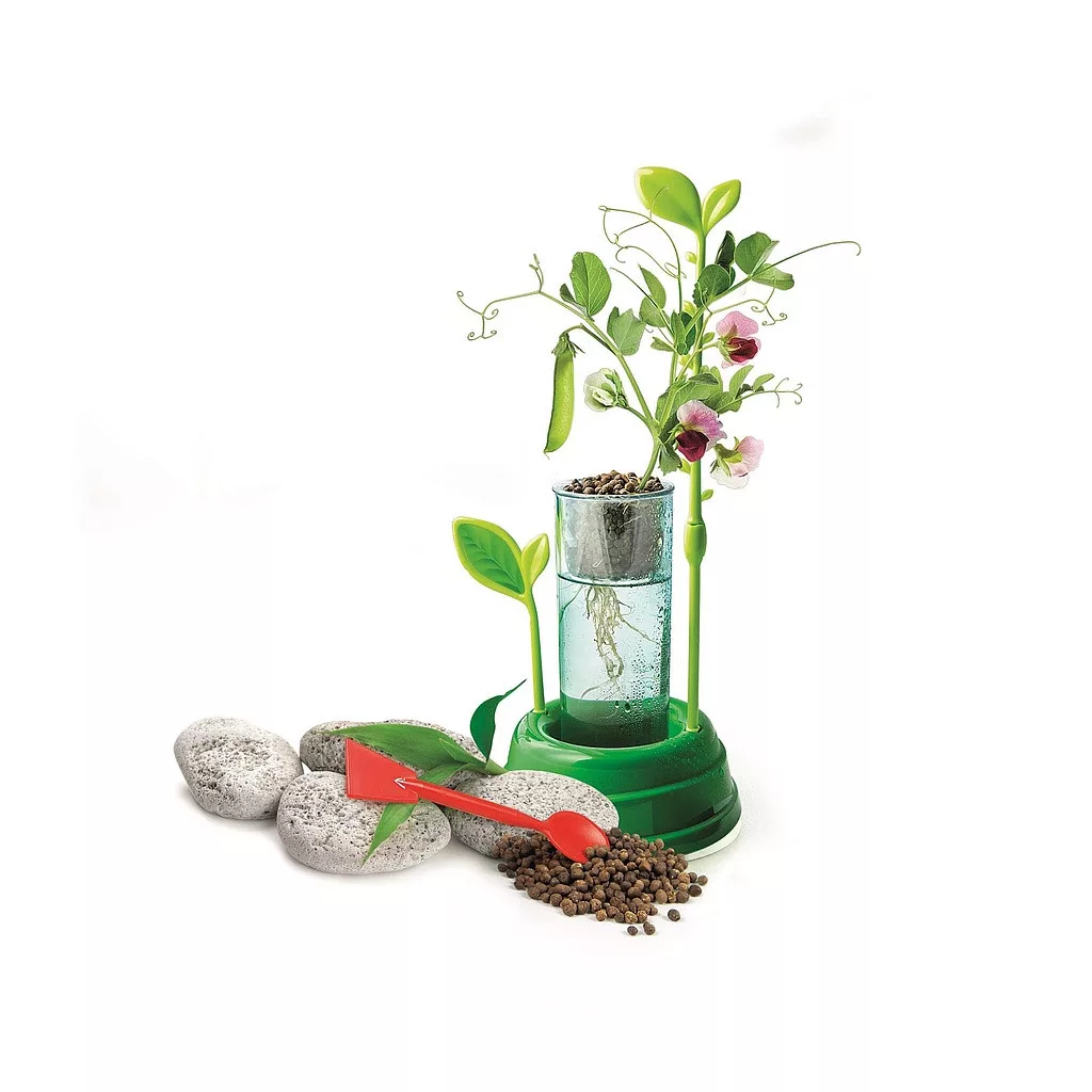 Laboratórium BOTANIC