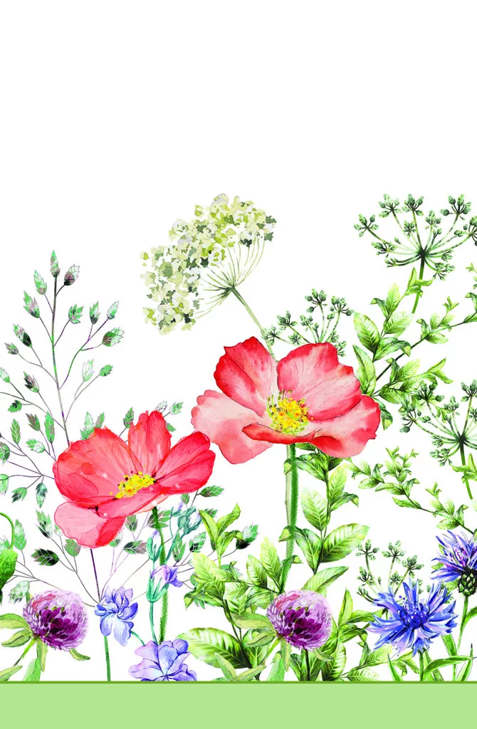 Obrus 120x180 VLČÍ MAK