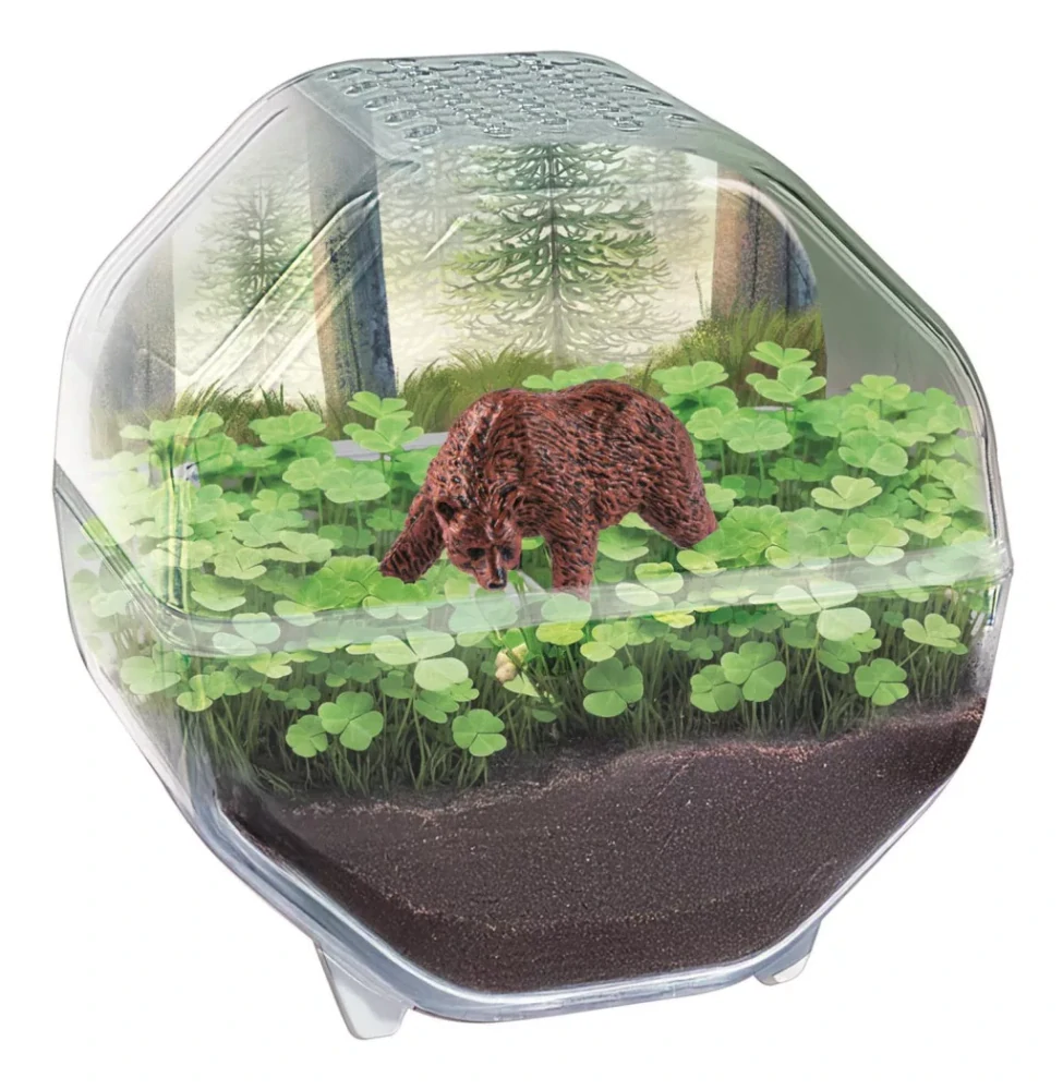 Mini terárium MEDVEĎ