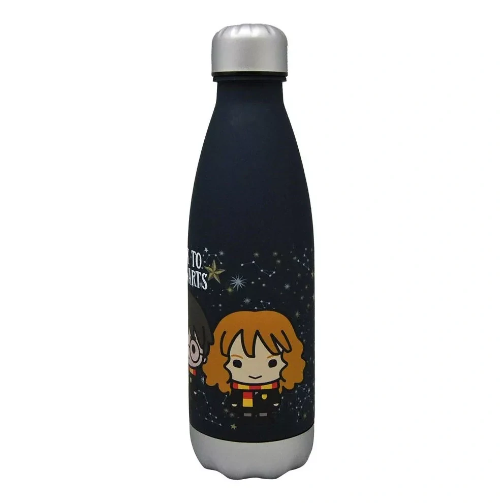 Plastová fľaša HARRY POTTER (650ml)