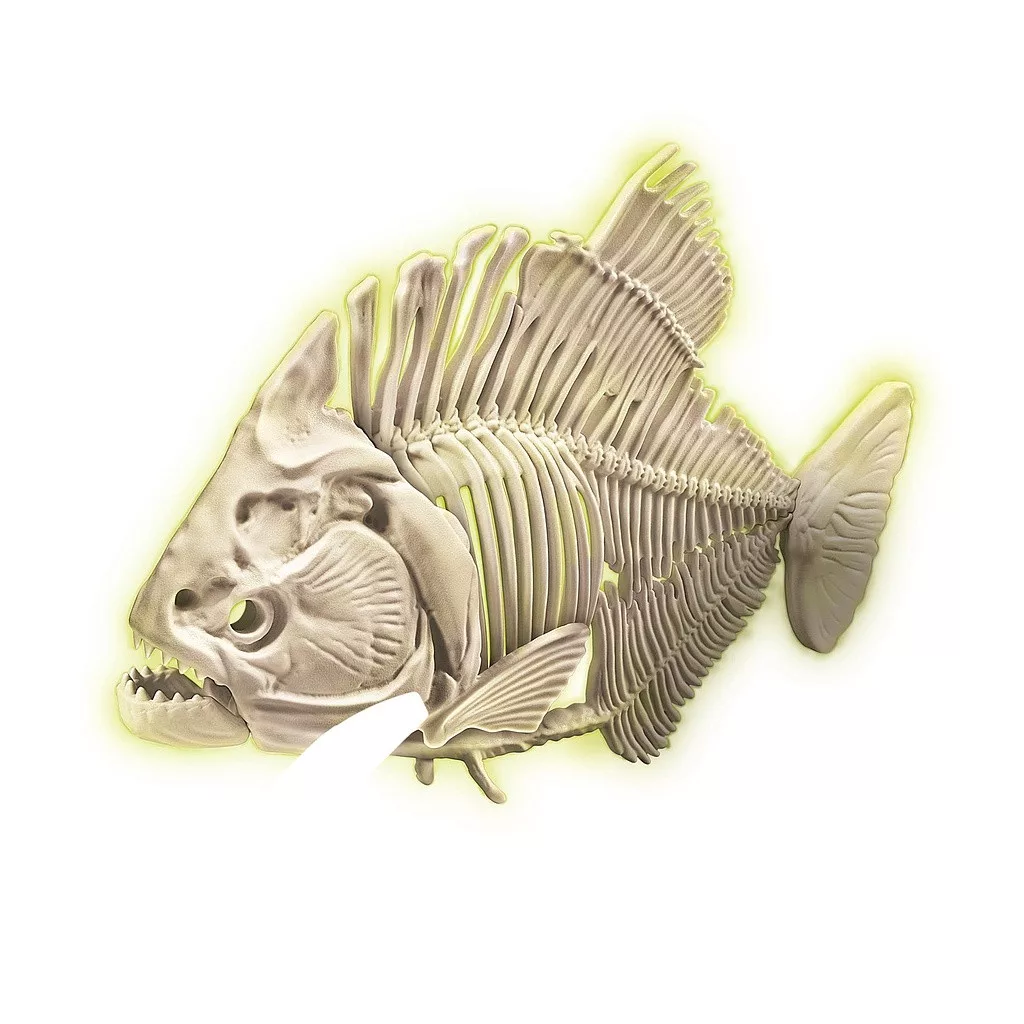 Archeologická súprava PIRAŇA