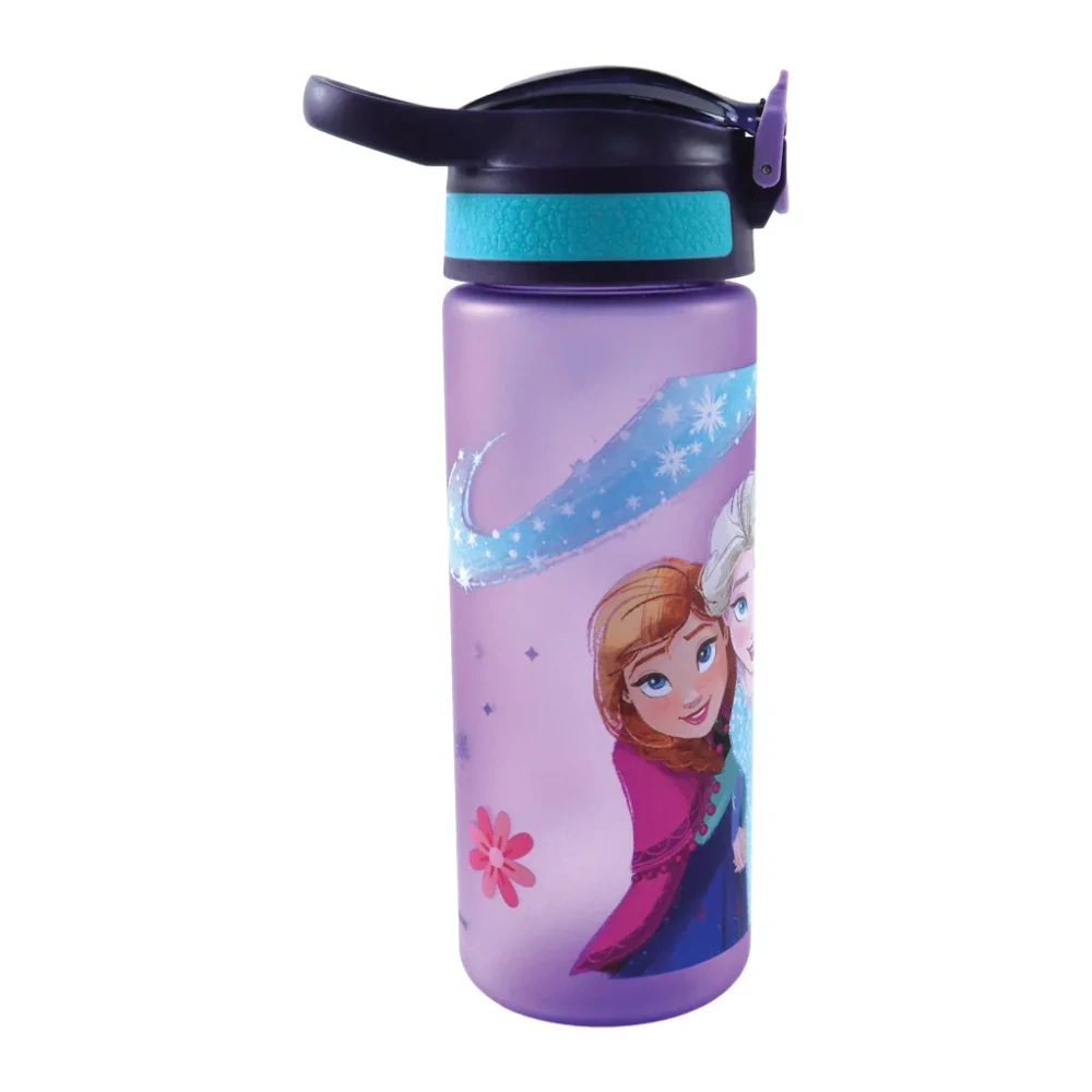 Plastová fľaša FROZEN modern (600ml)